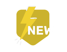 Section-New-1